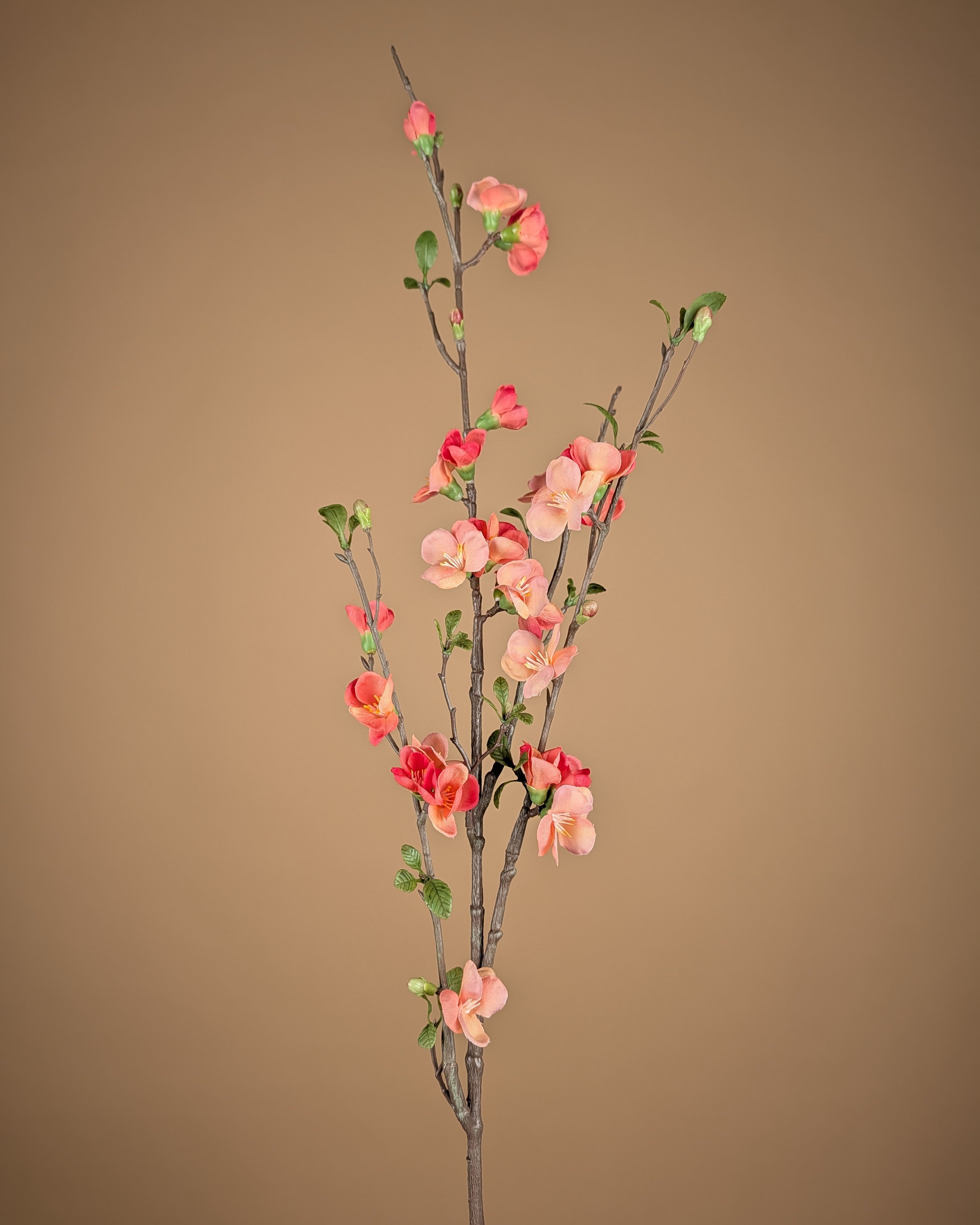 Branche de Chaenomeles en Soie – Rose Saumon & Pêche (81 cm)
