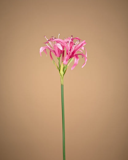 Zijde Nerine Tak – Zacht Roze (65 cm)