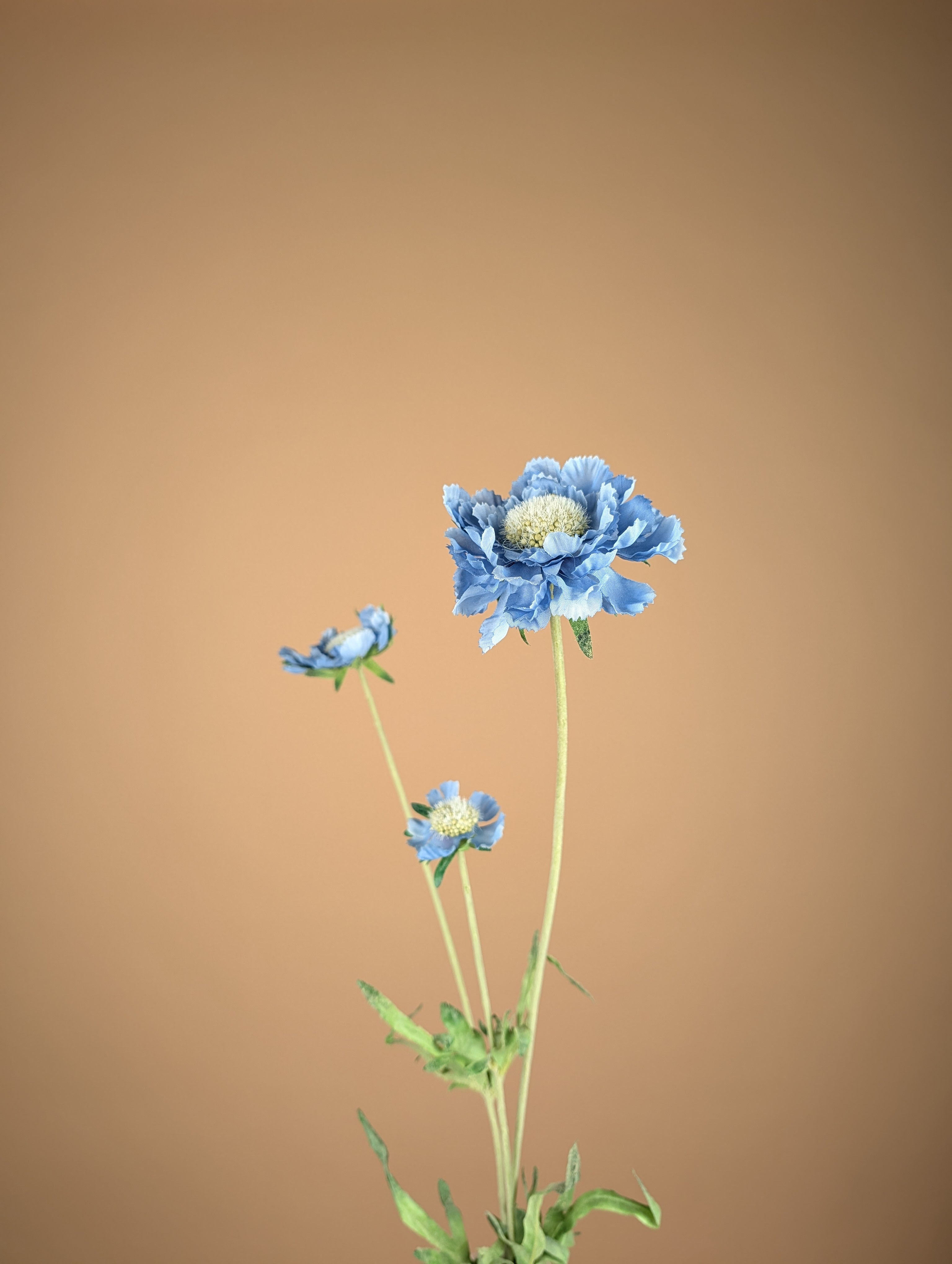 Zijde Scabiosa Tak – Zacht Blauw (63 cm)