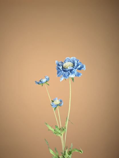 Zijde Scabiosa Tak – Zacht Blauw (63 cm)