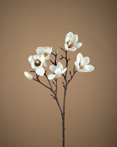 Mini branche de magnolia en soie – Crème (65 cm)