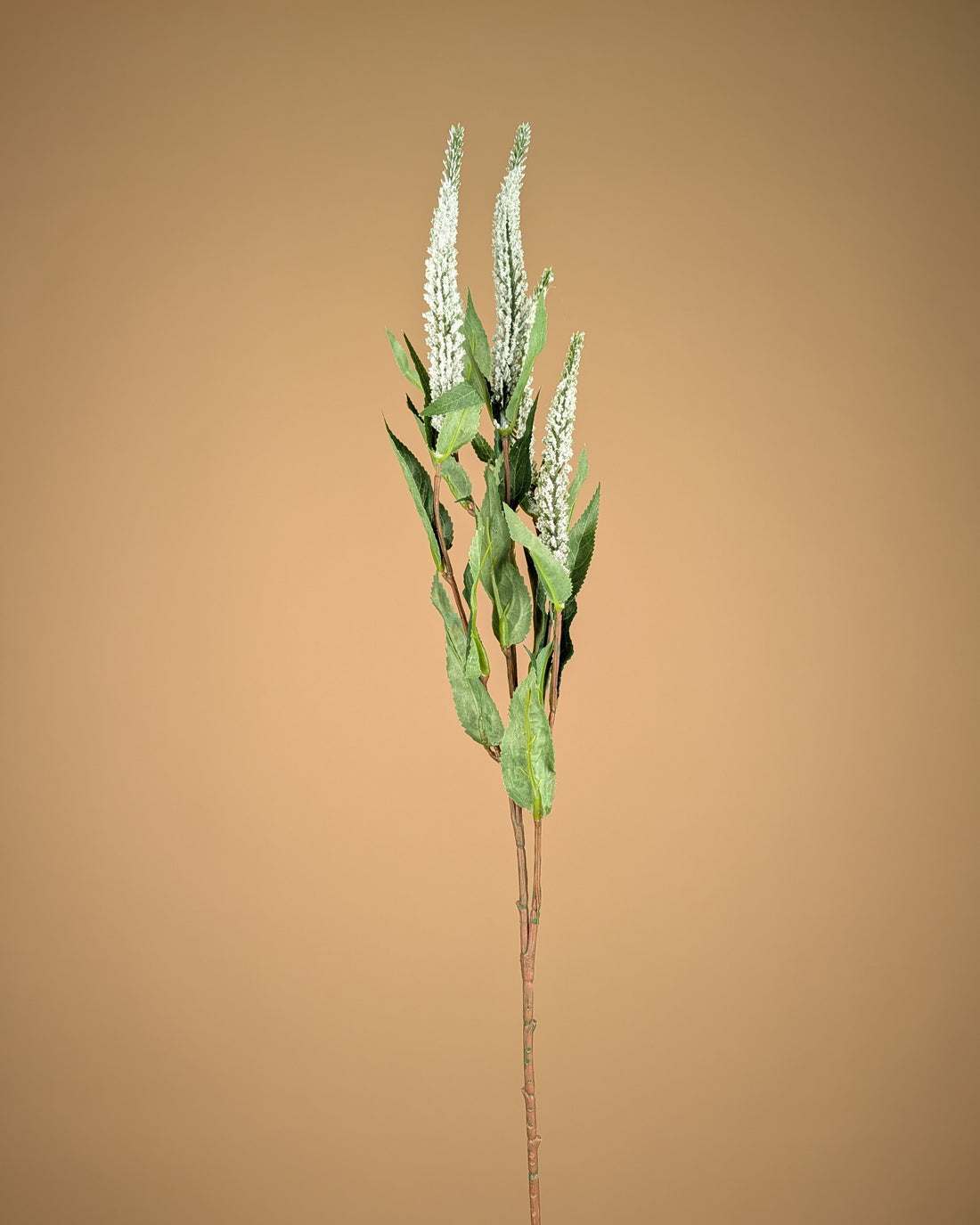 Zijde Veronica Tak – Wit (72 cm)