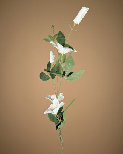 Clématite en soie – Blanche (82 cm)