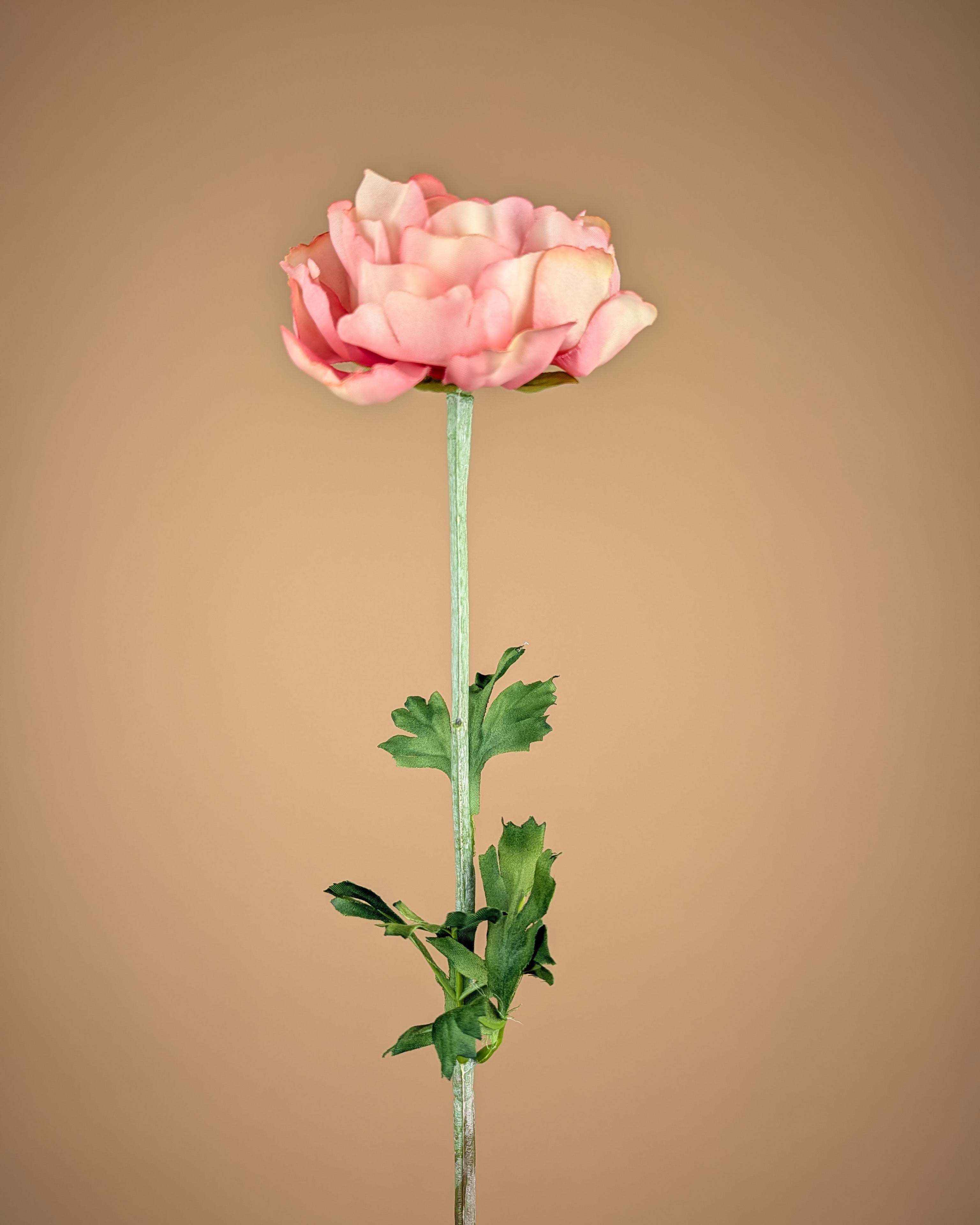 Spray de renoncules en soie – Rose (50 cm)