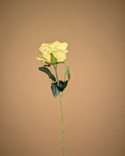 Zijde Roos Simone – Zachtgeel (45 cm)