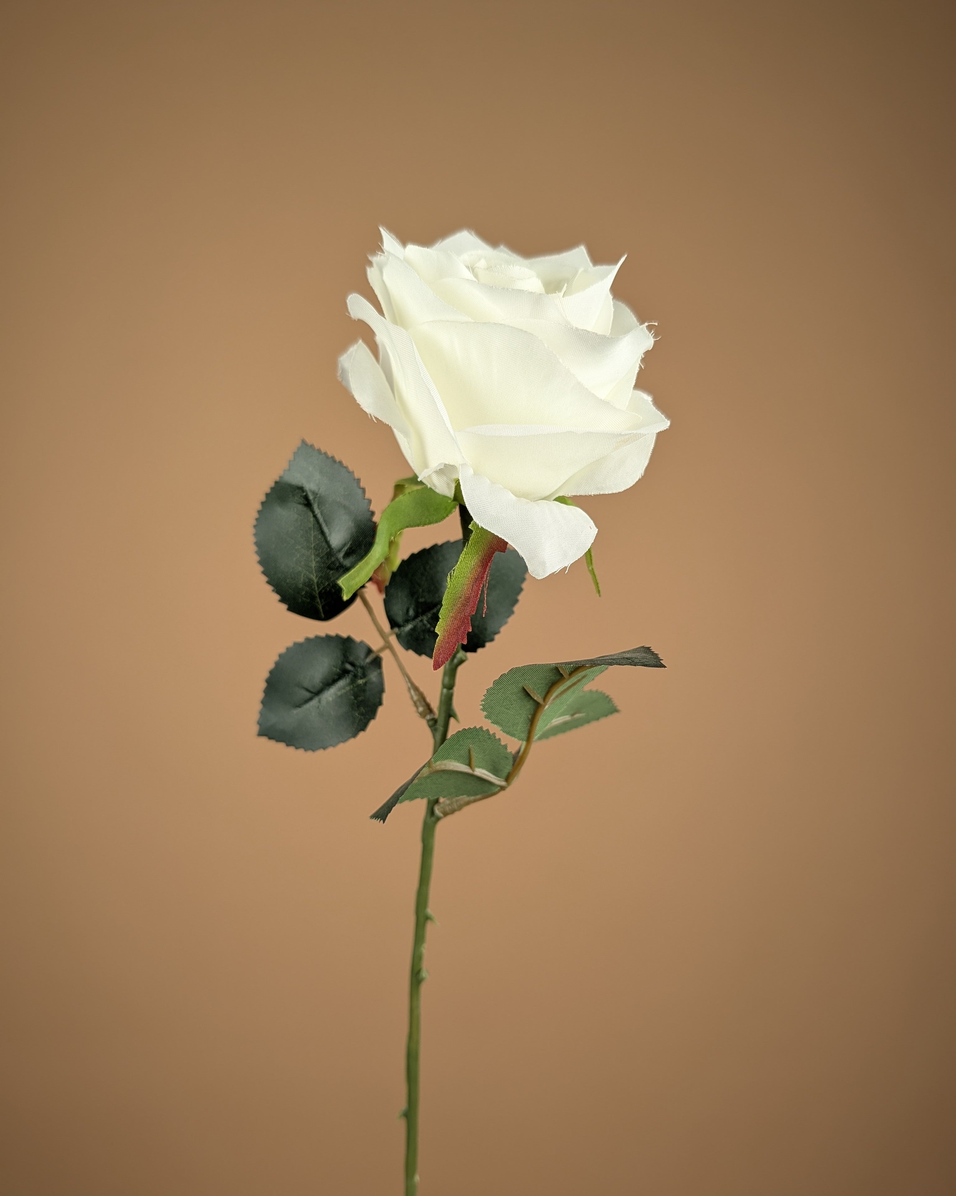 Rose de soie Simone – Blanc ivoire (45 cm)