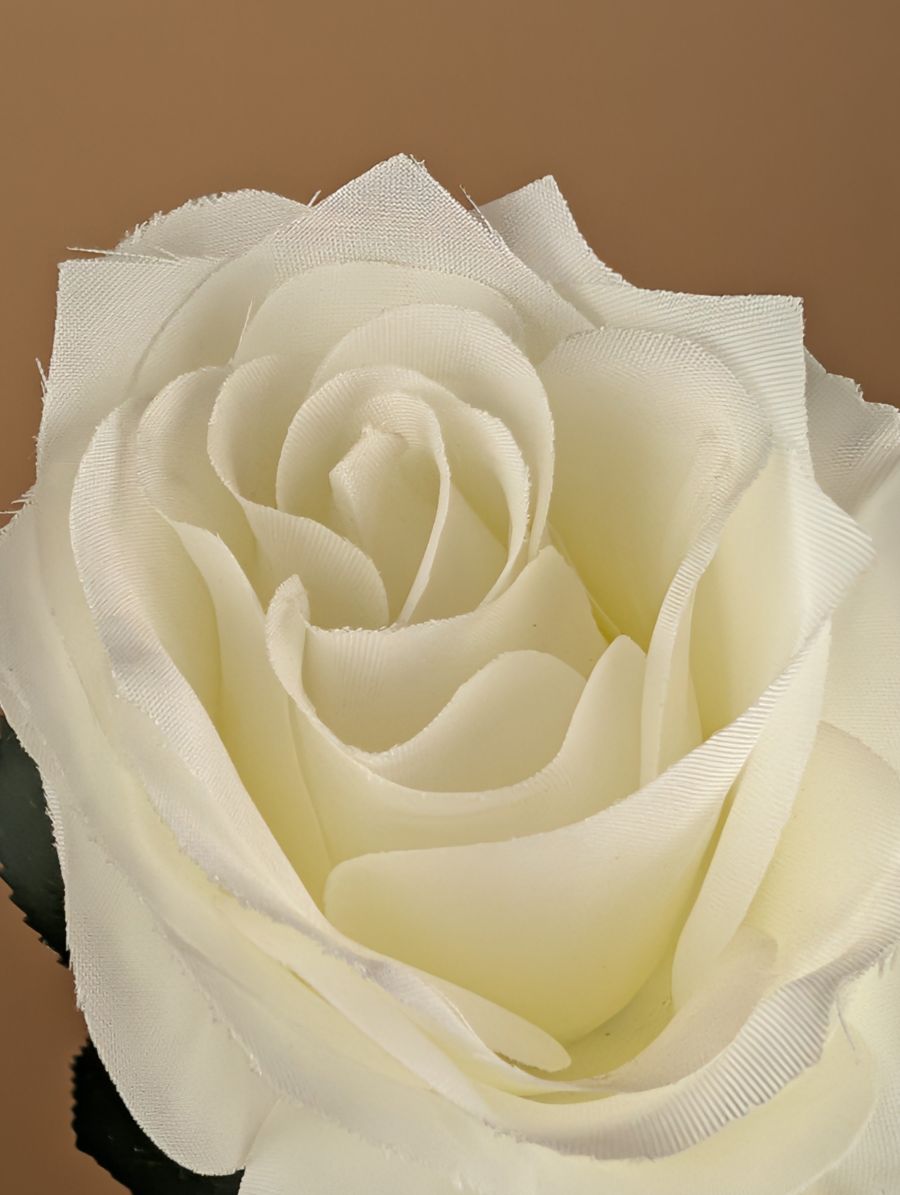 Rose de soie Simone – Blanc ivoire (45 cm)