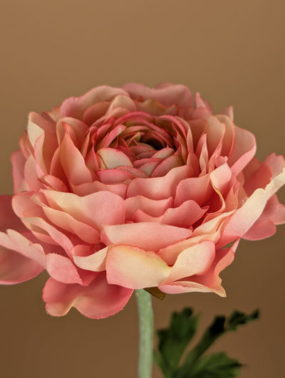 Spray de renoncules en soie – Rose (50 cm)