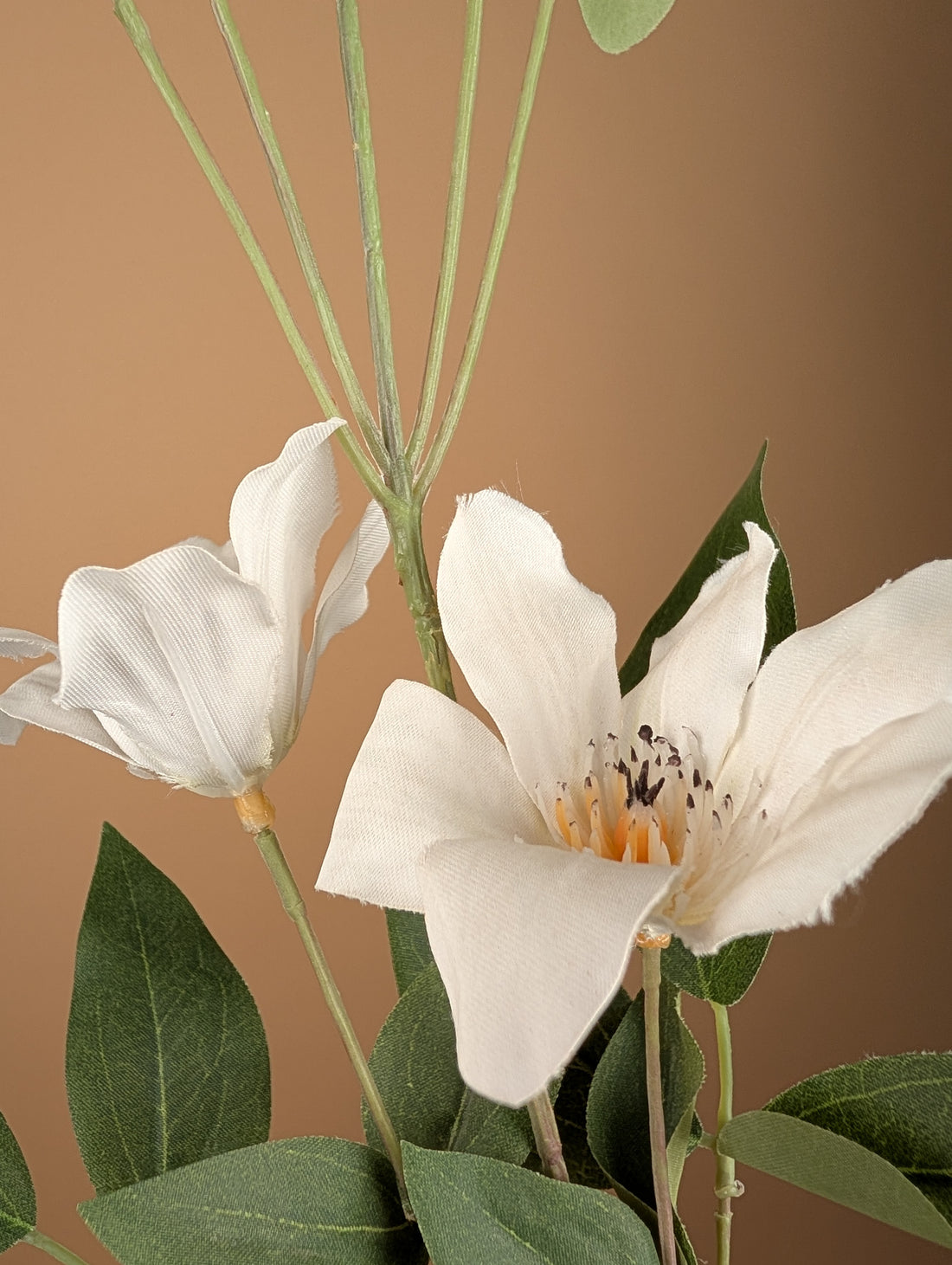Zijde Clematis – Wit (82 cm)