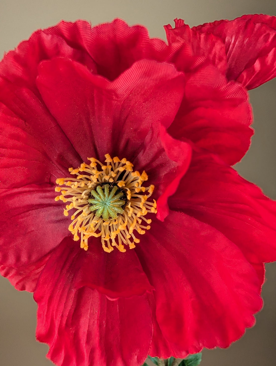 Zijde Papaver Tak – Klaproos Rood (75 cm)