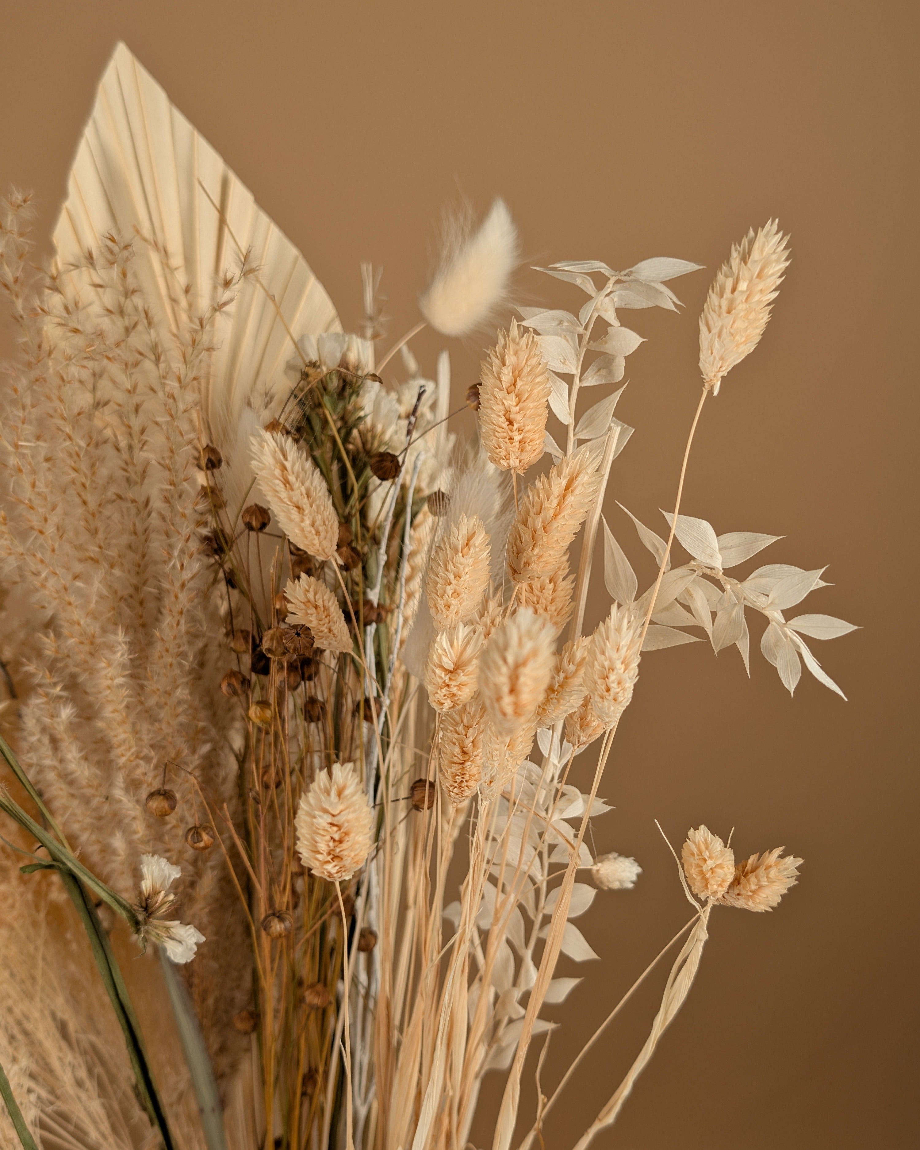Trockenstrauß wirklich geliebt