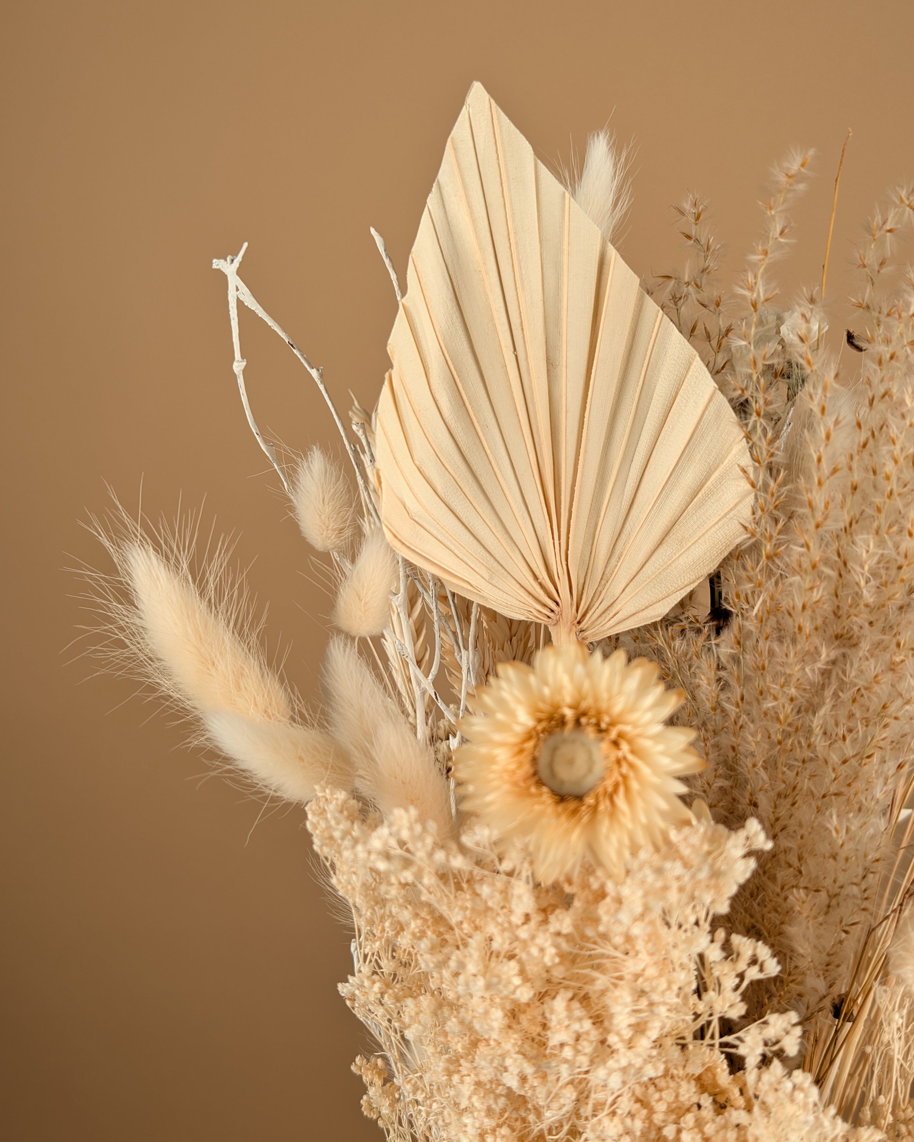 Trockenstrauß wirklich geliebt