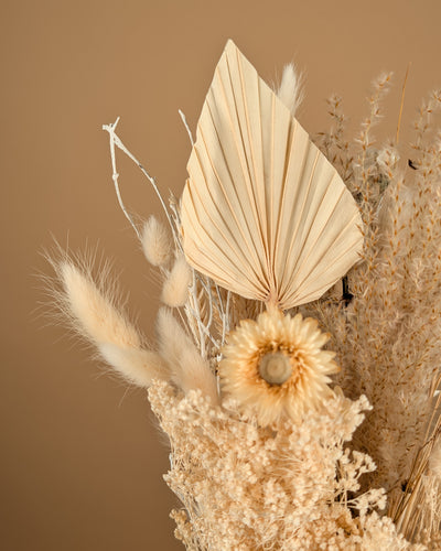 Trockenstrauß wirklich geliebt