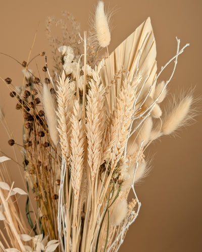 Trockenstrauß wirklich geliebt