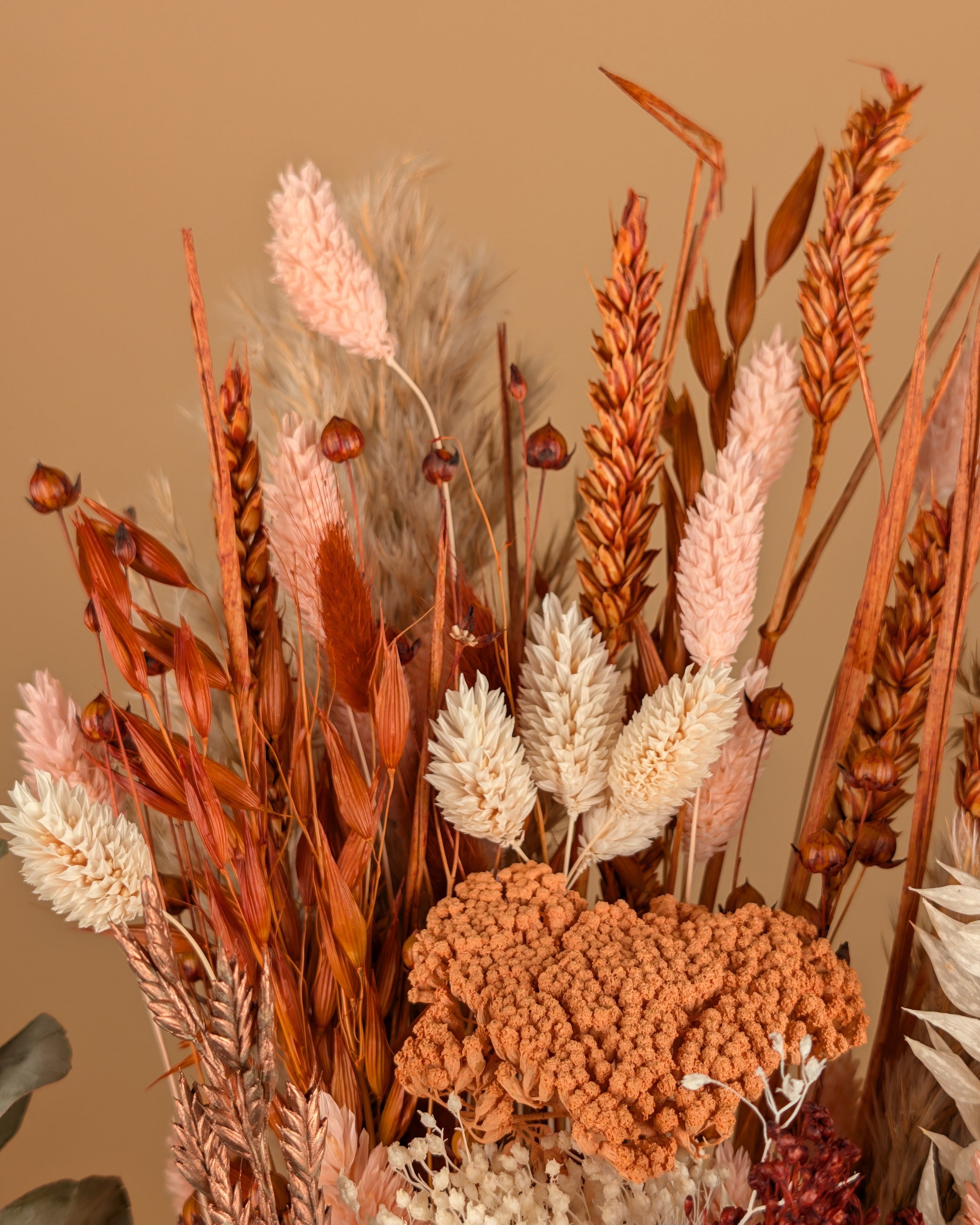 Trockenstrauß wirklich geliebt