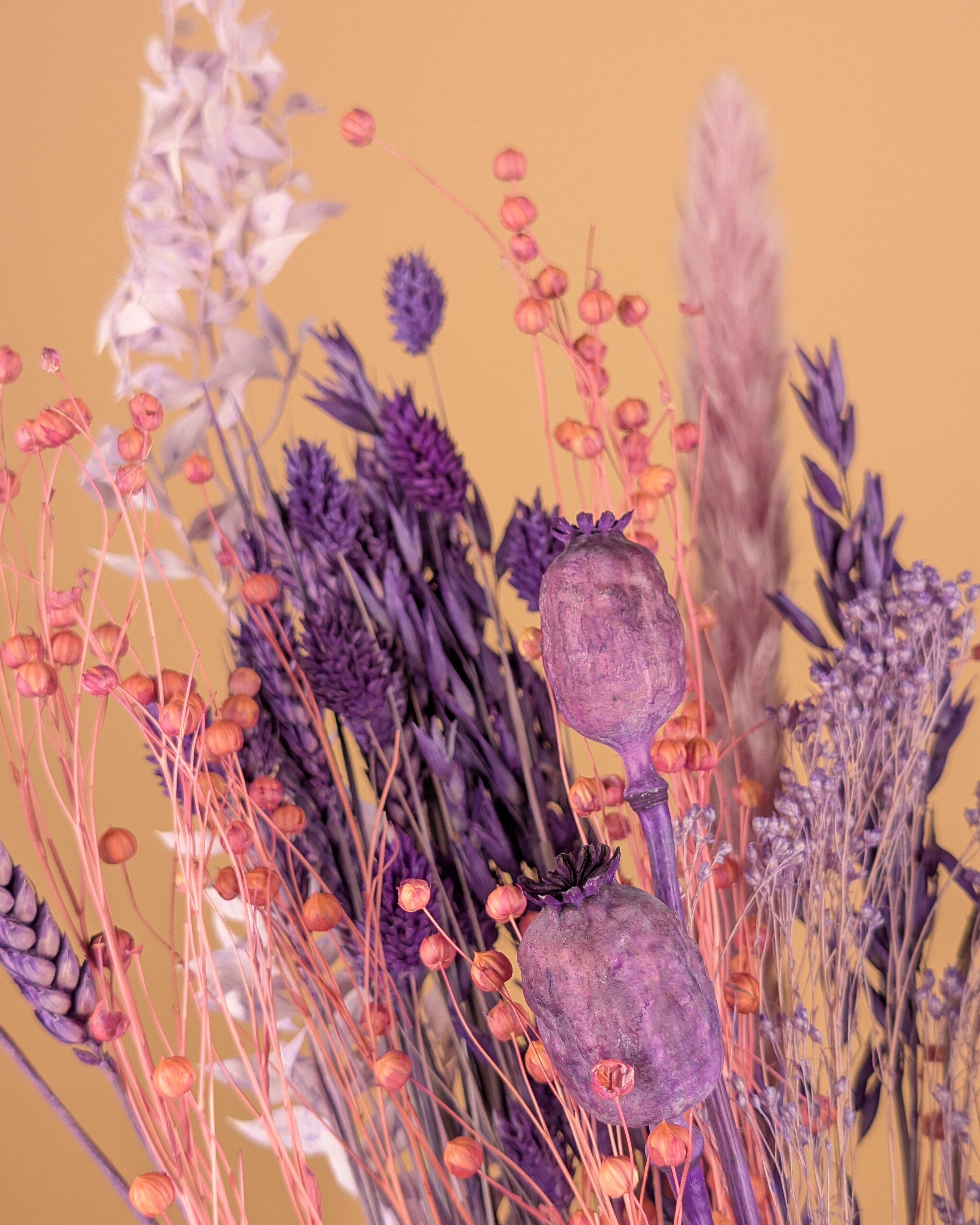 Drying bouquet Purple