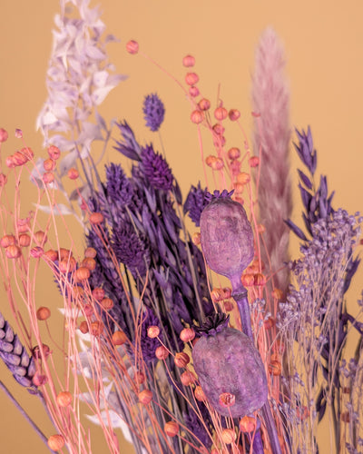 Drying bouquet Purple