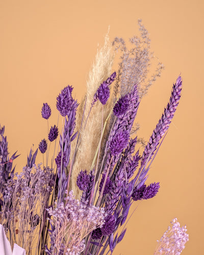 Drying bouquet Purple