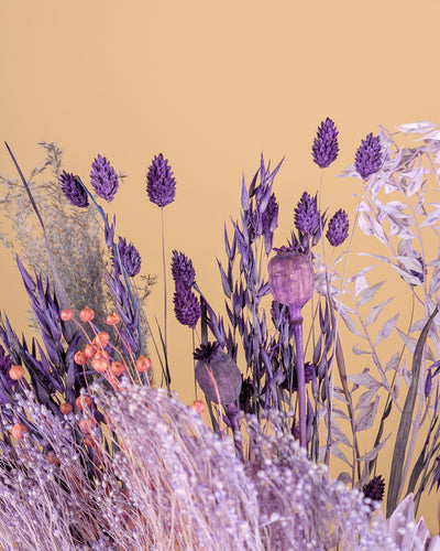 Bouquet de séchage violet