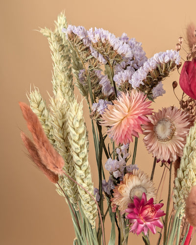 Trockenstrauß wirklich geliebt