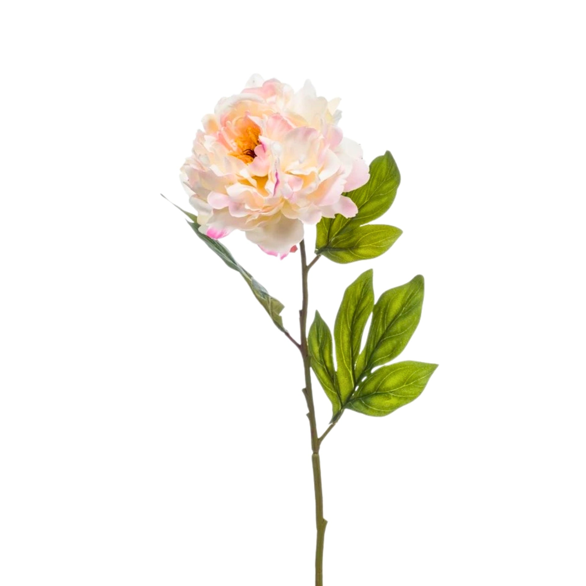 Pivoine en soie – Rose (75 cm)