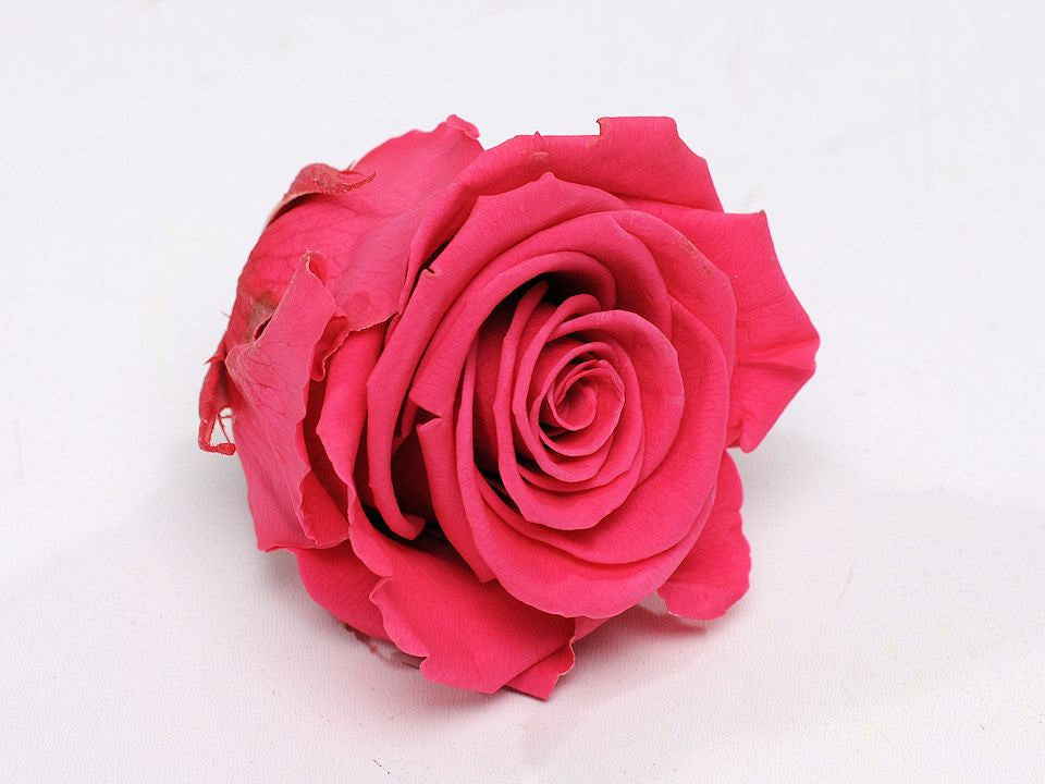 Rose head 5cm Dark pink