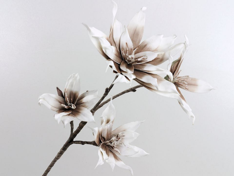 Foam blossom branch white/mocca