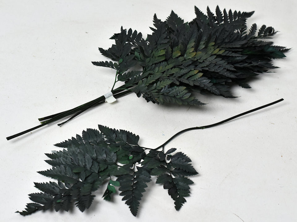 Lederaren 40cm Green 6 pack
