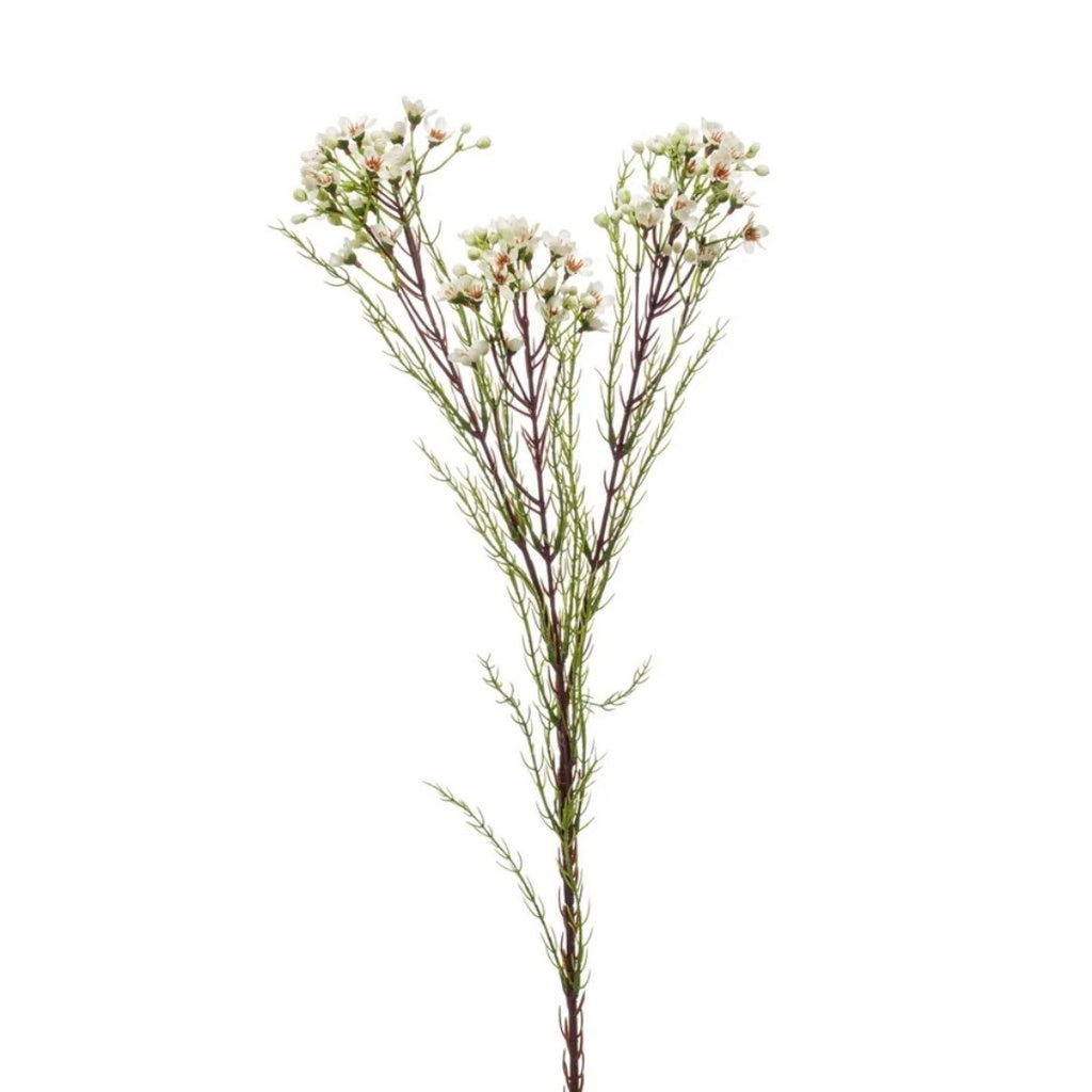 Zijde Waxflower – Ivoor (78 cm)