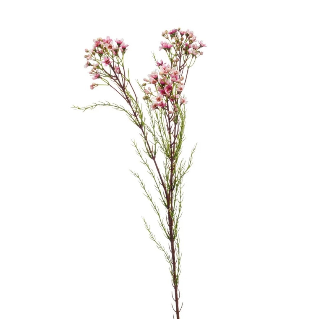 Zijde Waxflower – Zacht Roze (78 cm)