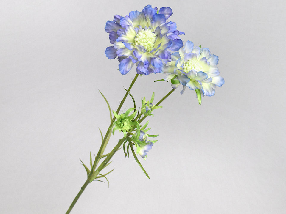 Art Scabiosa Blue 84cm