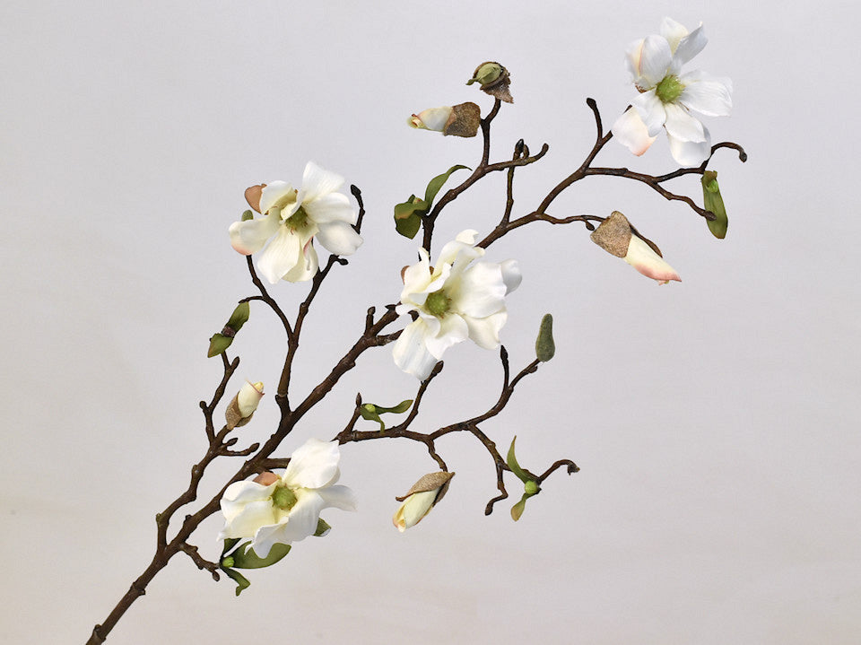 Magnoliat Ast 78 cm Weiß