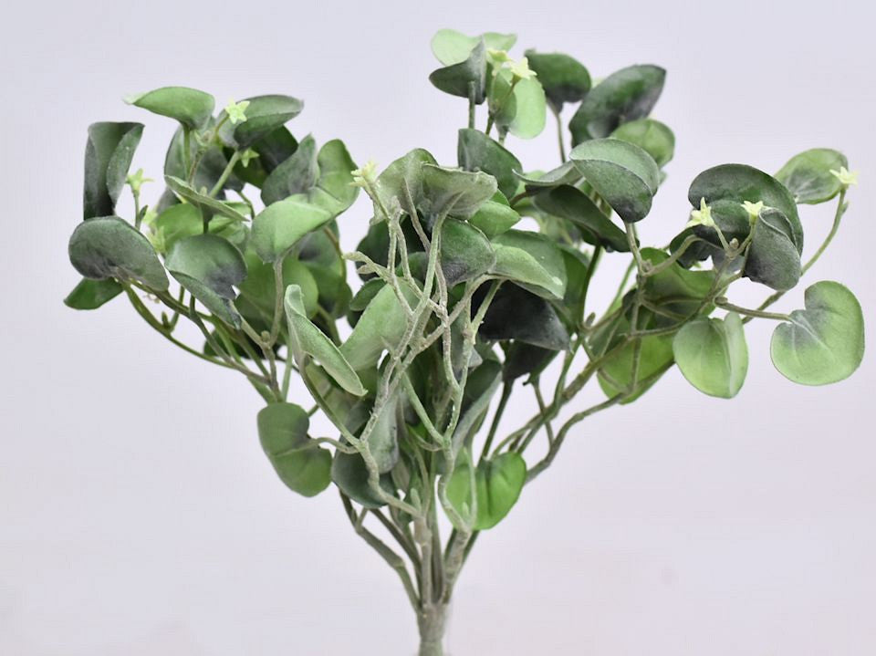 Kunst Dichondra Silver Falls 25 cm