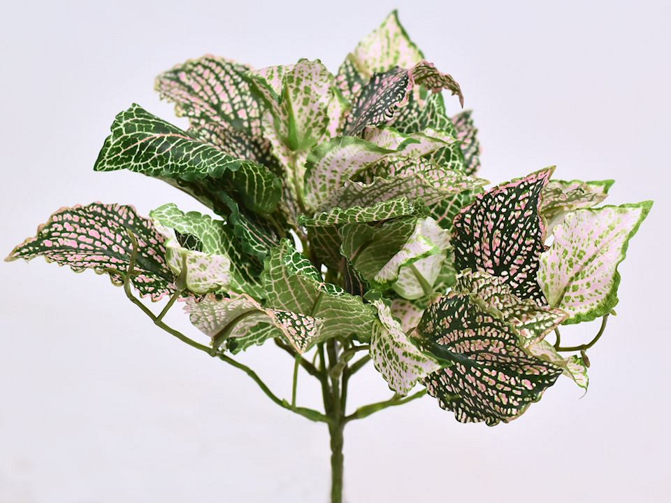 Art Fittonia Plant 25 cm green