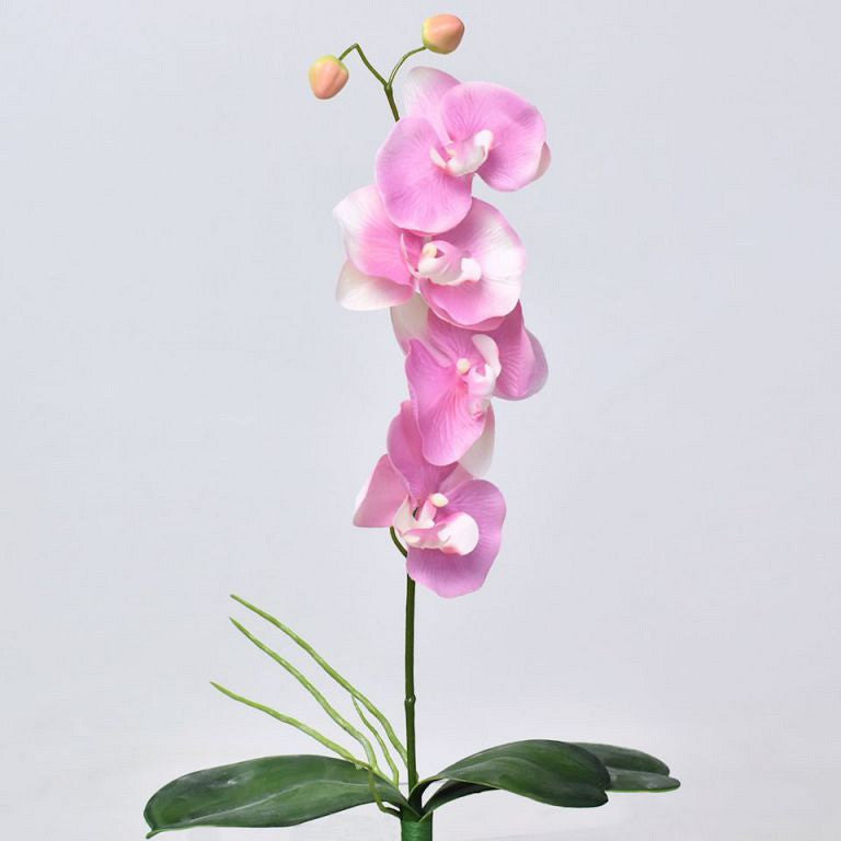 Phalaenopsis Pink 44 cm