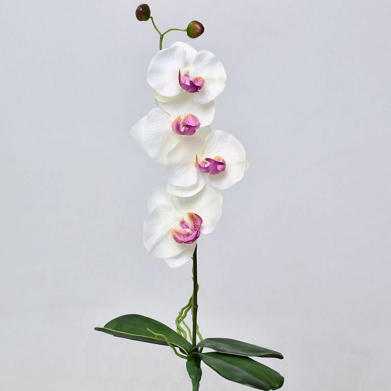 Phalaenopsis 44cm weiß