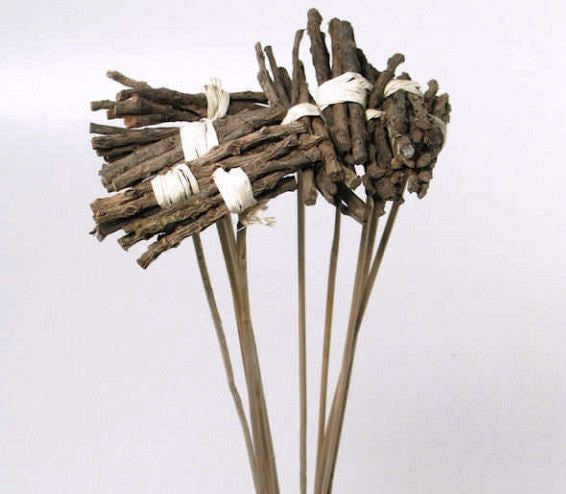 Bijsteker -Bundle -Bundle bei 50 cm Stahl