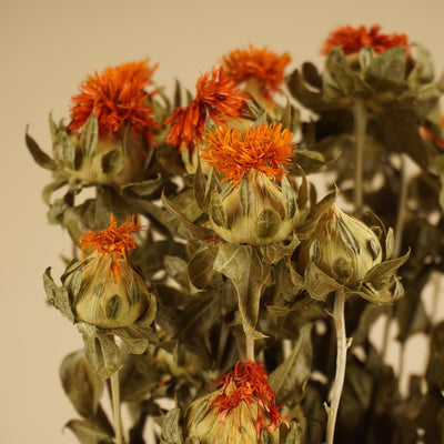 Séré Carthamus Orange