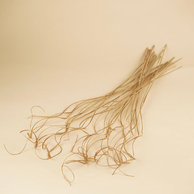 Curly Ting Rattan