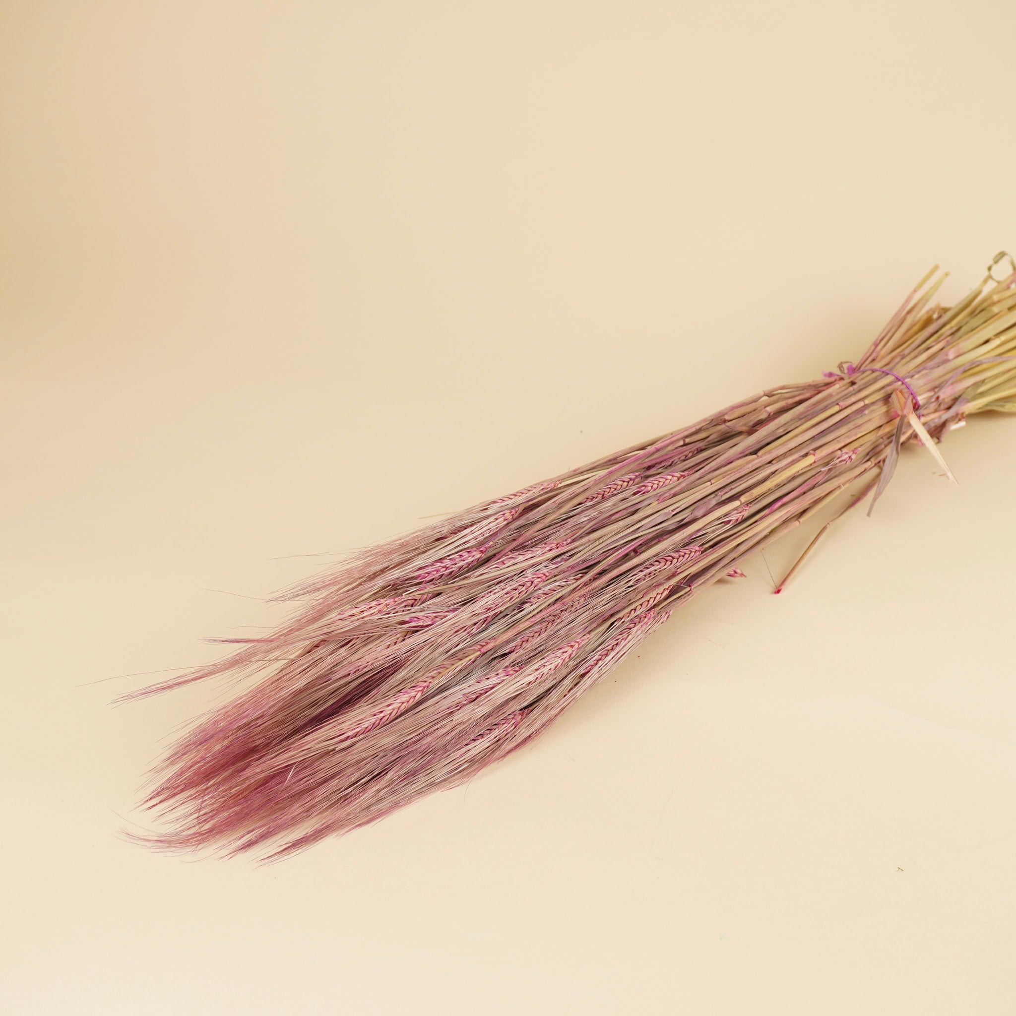 Barley pink 70cm
