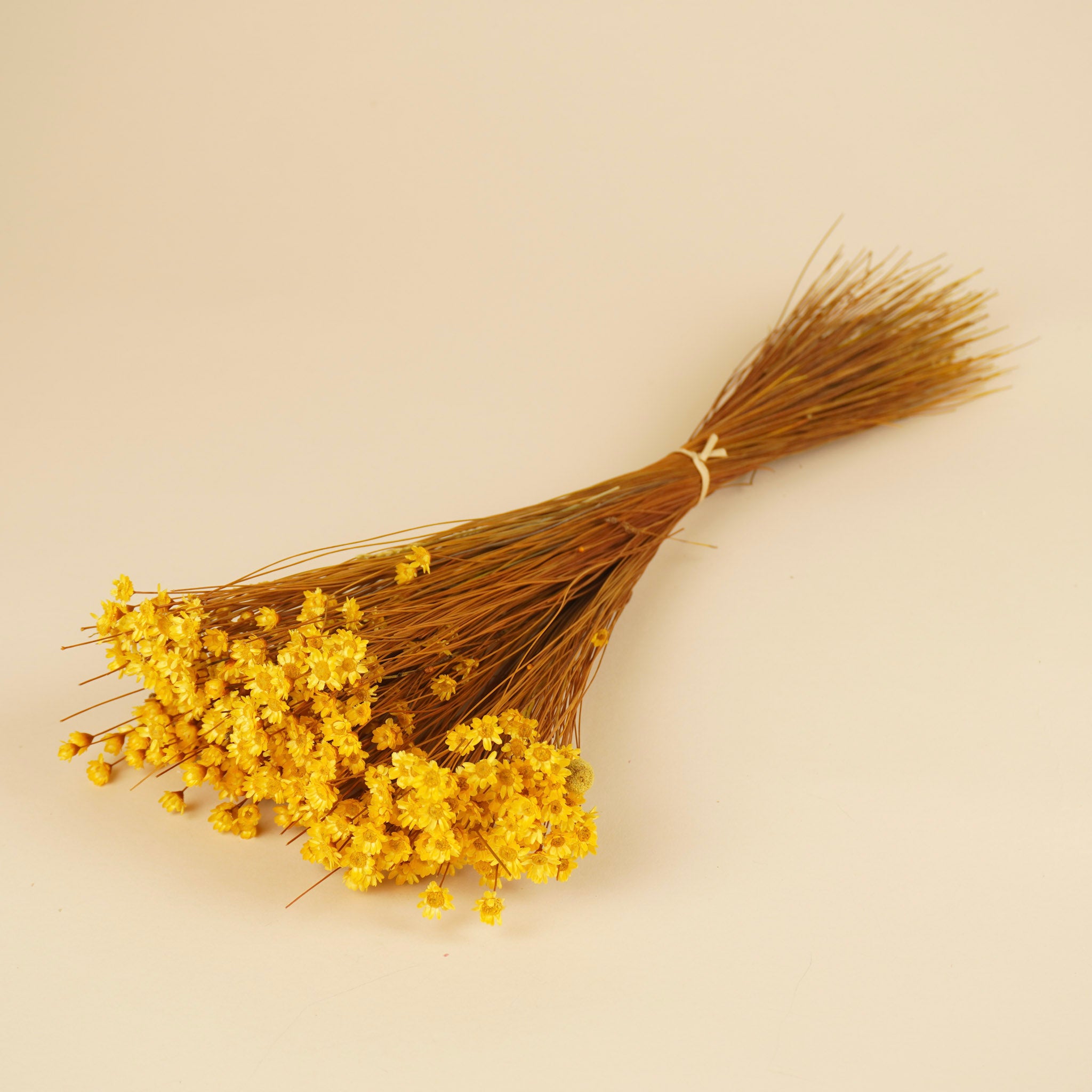 Gedroogde glixia (strobloem) – geel