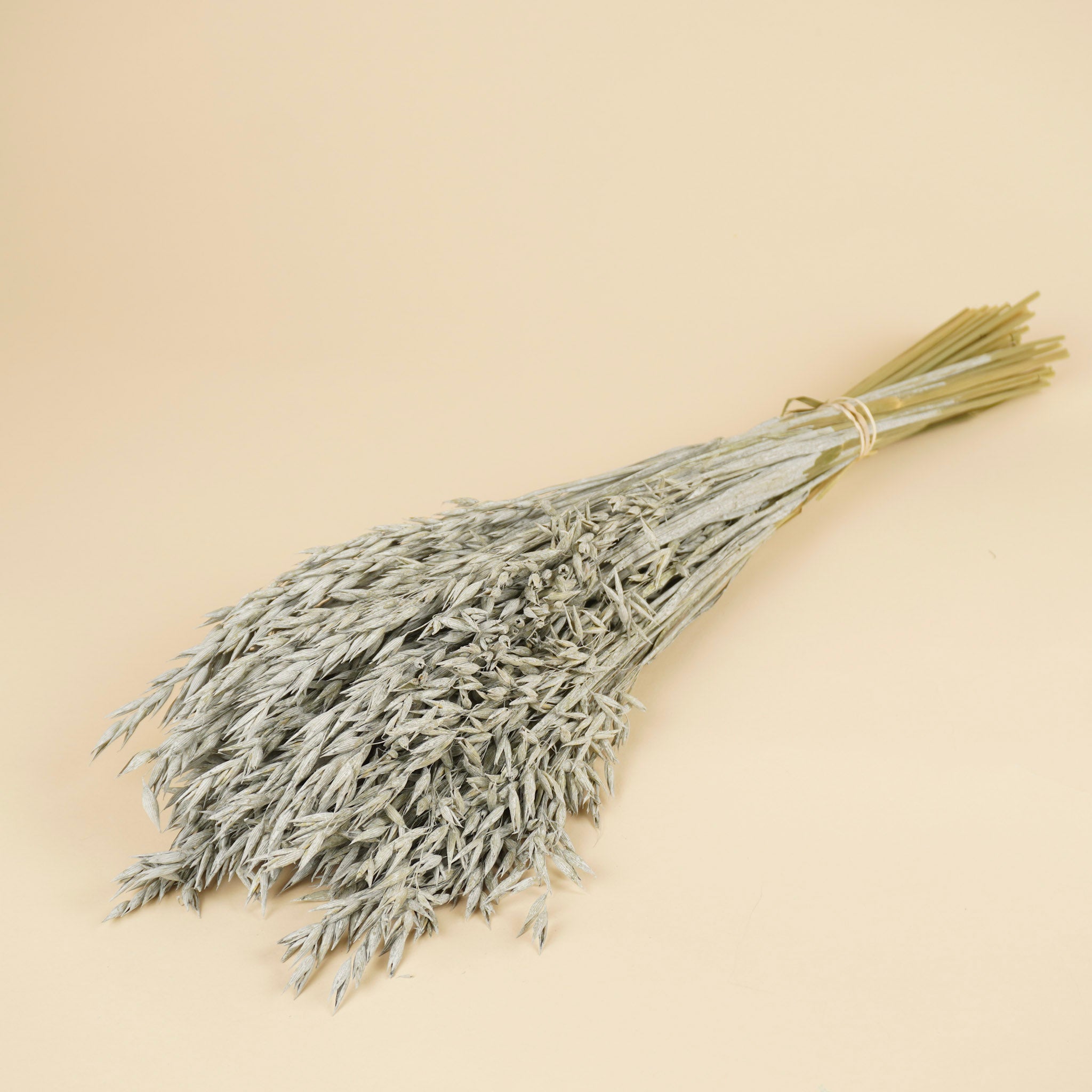 Avoine séchée gris lavage coloré