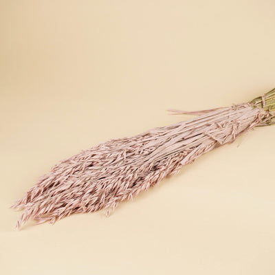 Gedroogde haver (avena) – misty pink