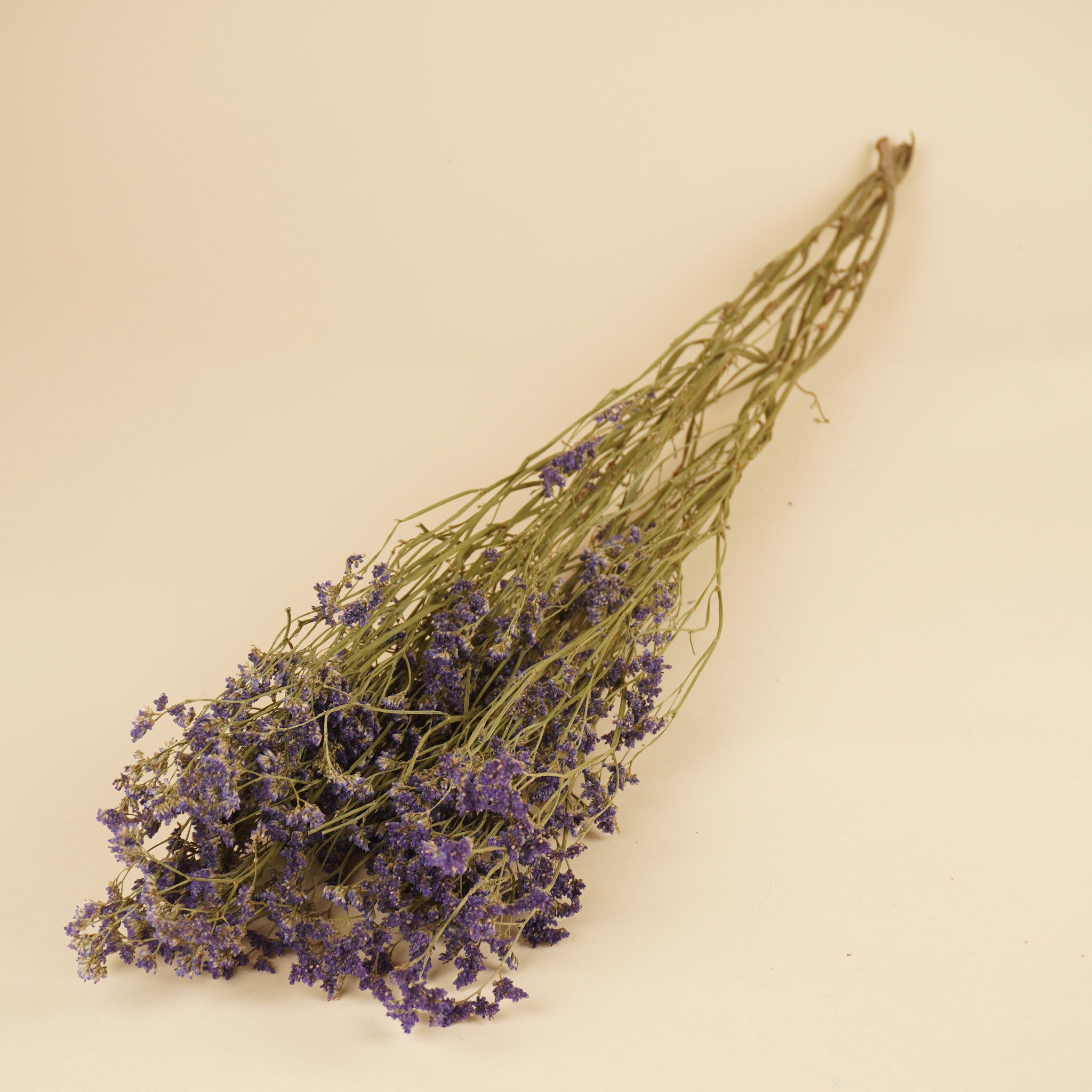 Dried Limonium Diamond Sinensis Purple