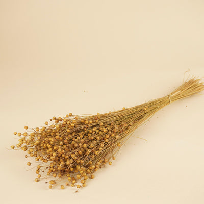 Dried Lino Vlas Naturel (Linum)