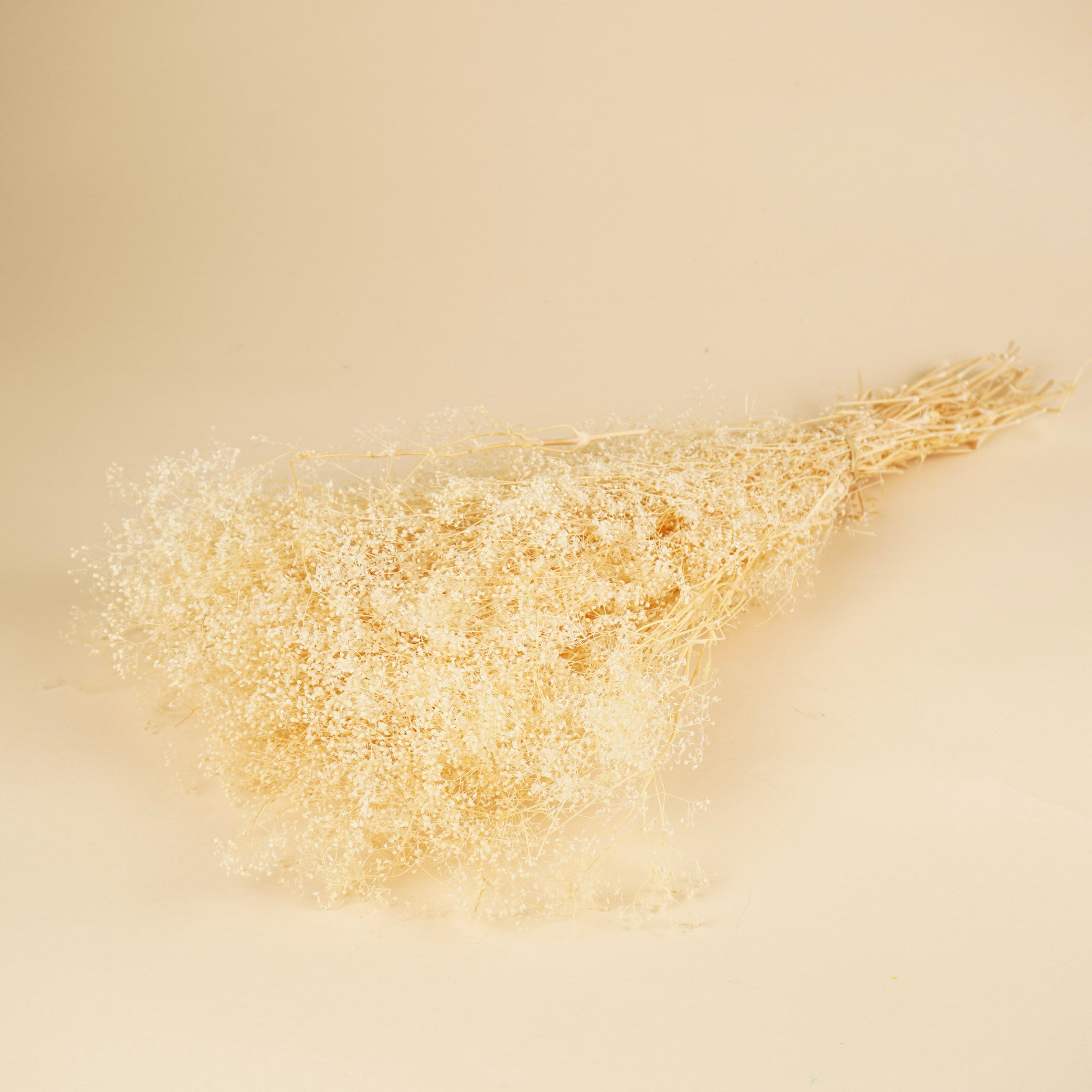 Mini gypsophila bleached dried (gypsum)