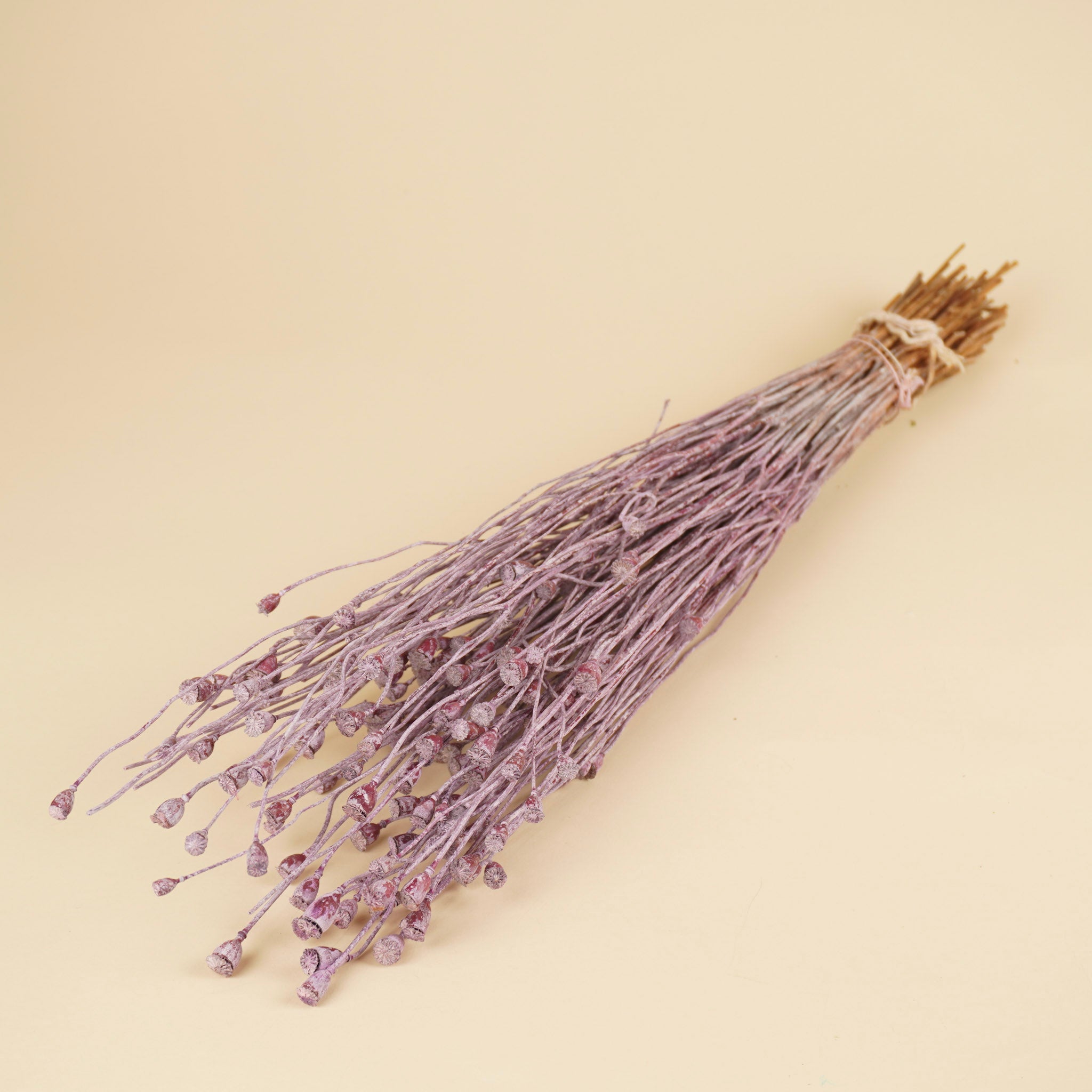 Gedroogde mini papavers – milka