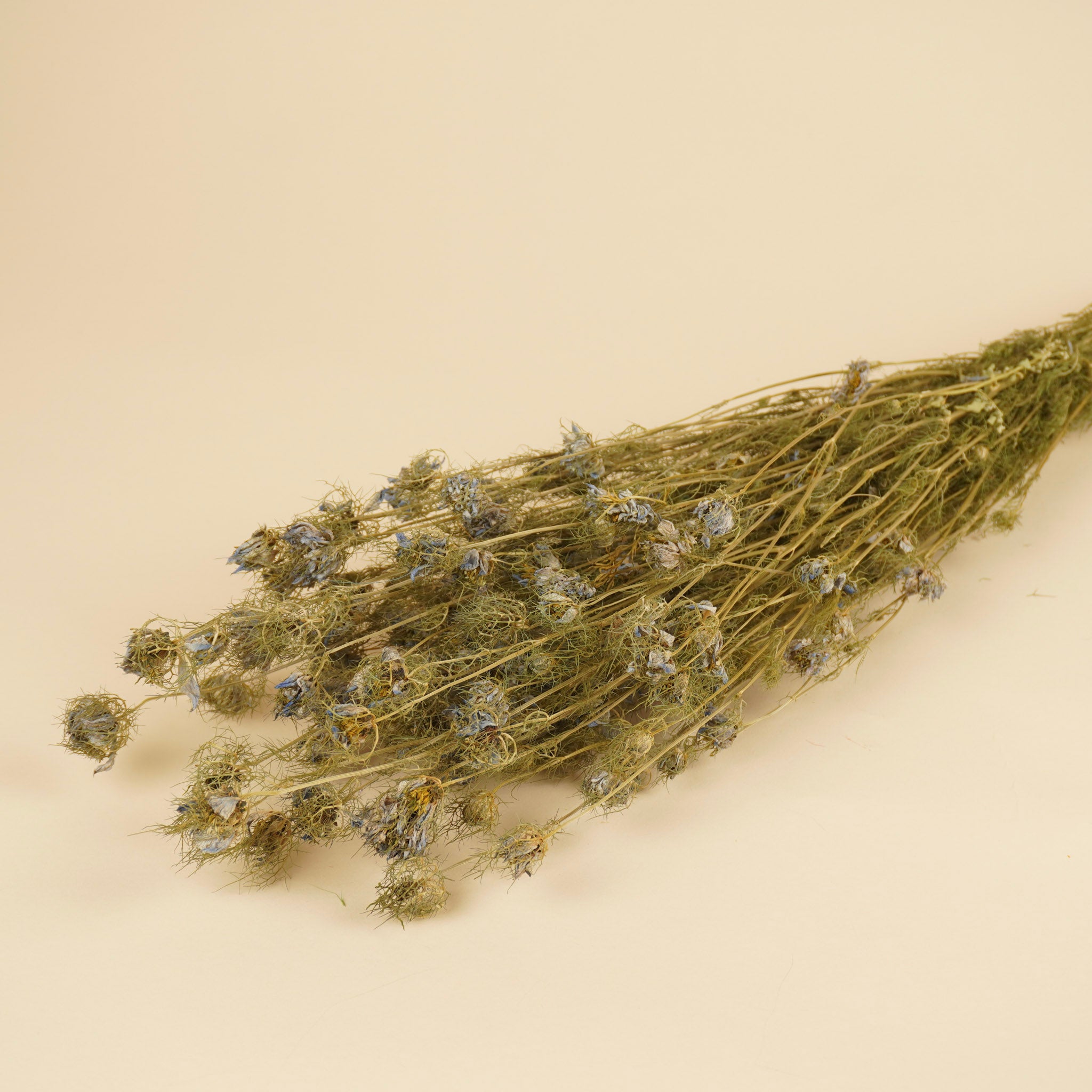 Gedroogde nigella bloem – blauw