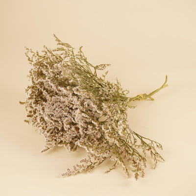 Trockenstatike Tatarica White