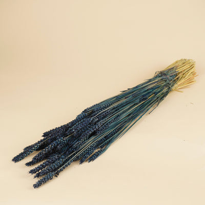 Getrockneter Weizenblau